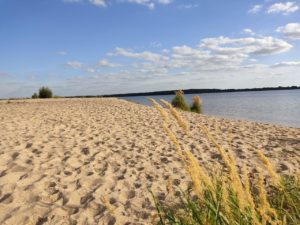 Sand Strand Goitzsche See