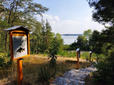 Heide-Camp Schlaitz – Ausblick Muldestausee Heide-Camp Schlaitz