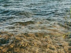 Glasklares, sauberes Wasser an der Goitzsche