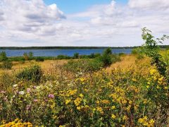 Goitzsche Oase Ferienhaus Bilderkausell