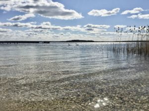 Camping und Ferienpark Goitzsche - Seeblick auf die Goitzsche. Hintergrund Schwäne. Sommerwetter.